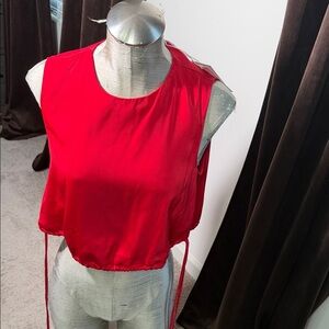Lucy Paris Bold Red Crop Top